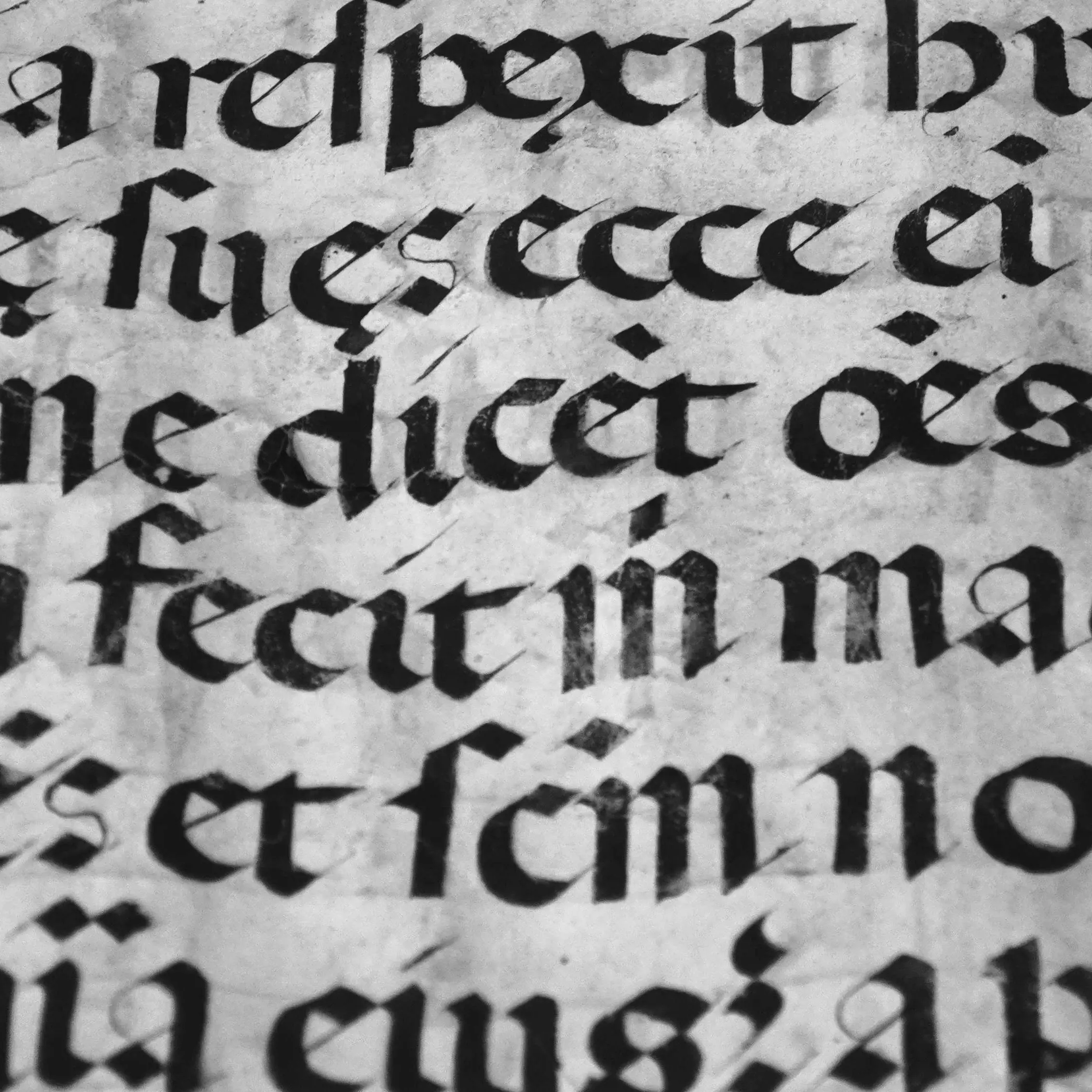 The Power of Type: Constructing Identity Through Typography